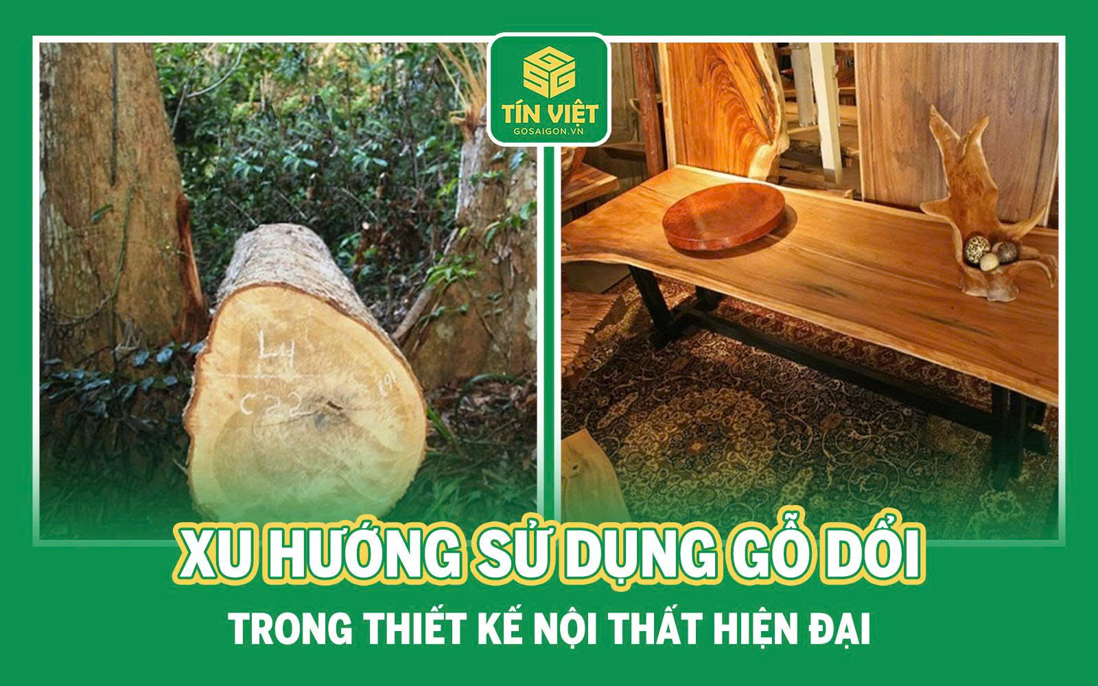 Xu Hướng Sử Dụng Gỗ Dổi Trong Thiết Kế Nội Thất Hiện Đại
