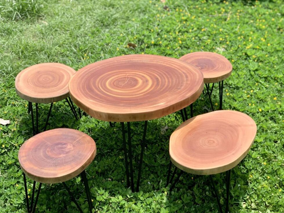 gỗ cây xà cừ có tốt không