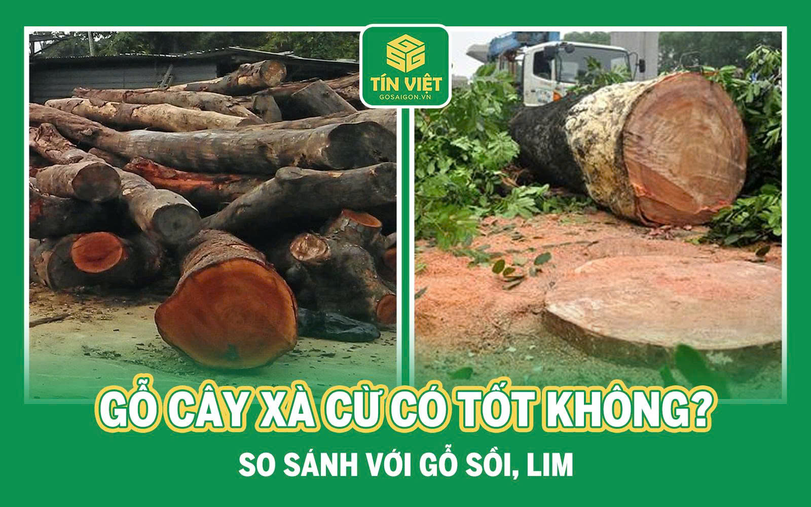 Gỗ Cây Xà Cừ Có Tốt Không? So Sánh Với Gỗ Sồi, Lim