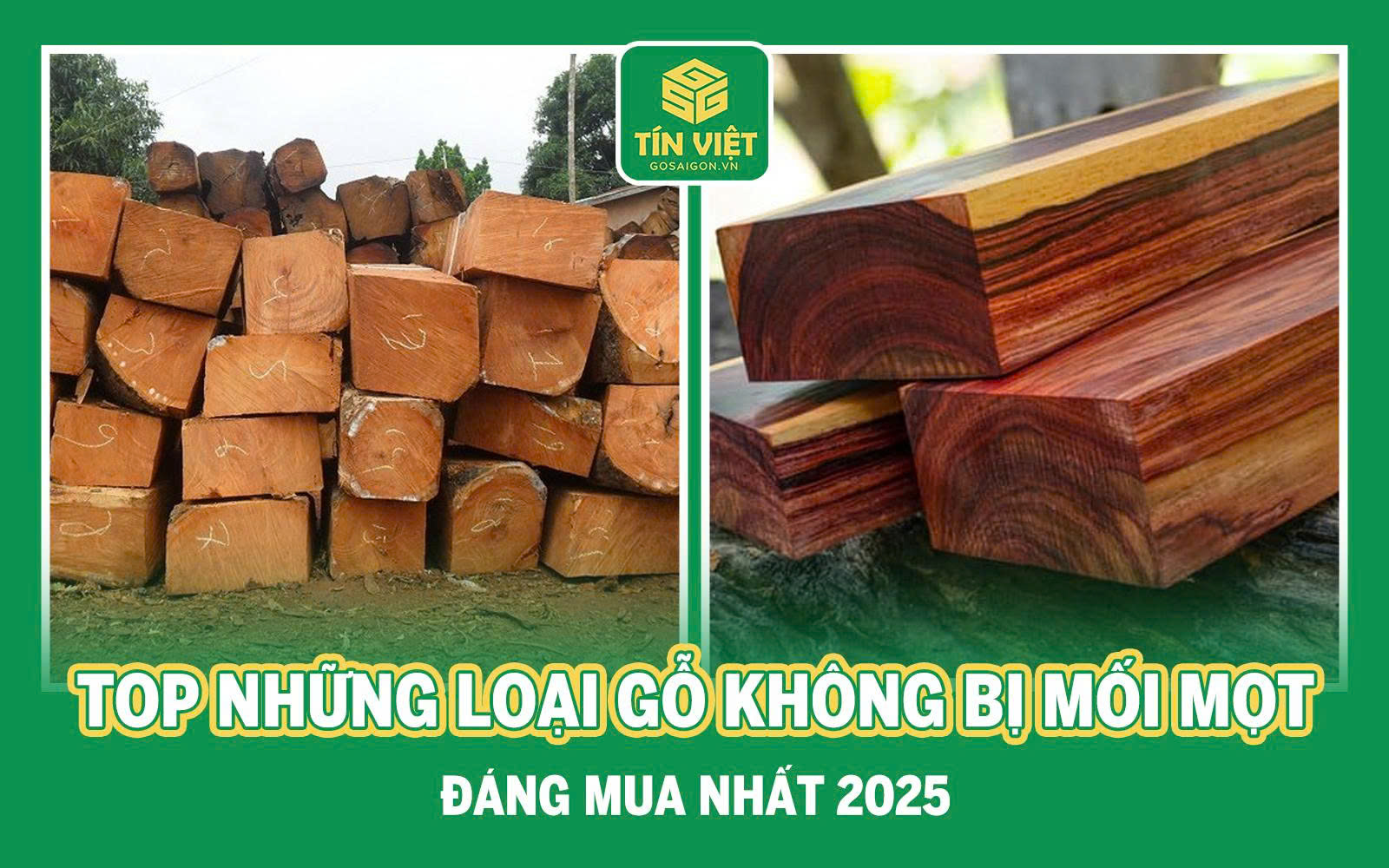 Top Những Loại Gỗ Không Bị Mối Mọt Đáng Mua Nhất 2025