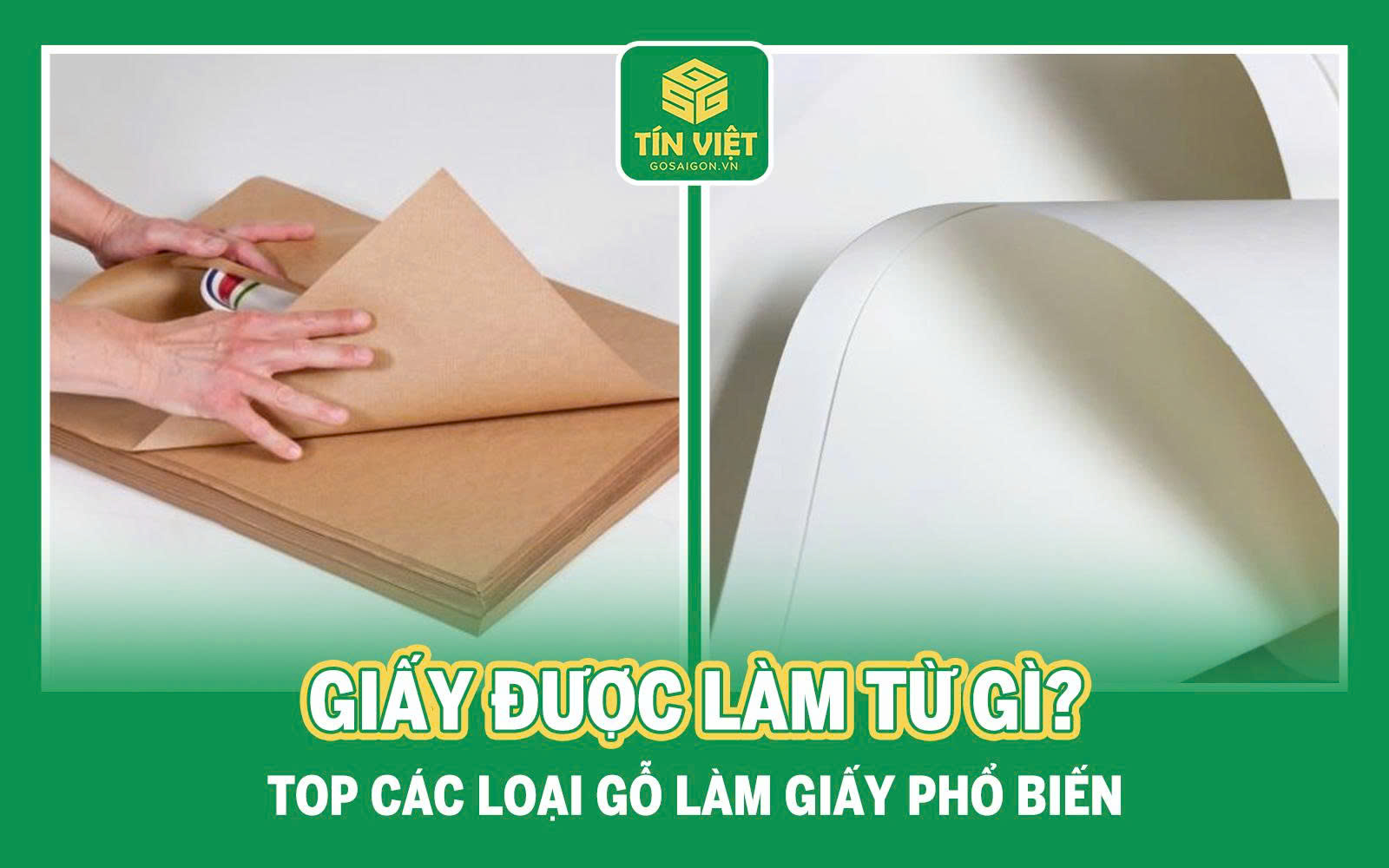 Giấy Được Làm Từ Gì? Top Các Loại Gỗ Làm Giấy Phổ Biến