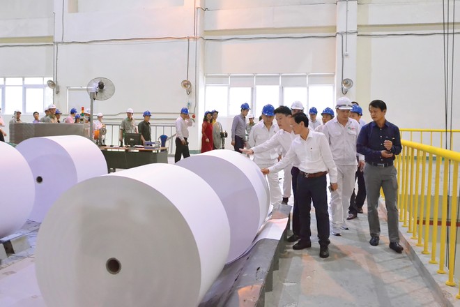 giấy được làm từ gì