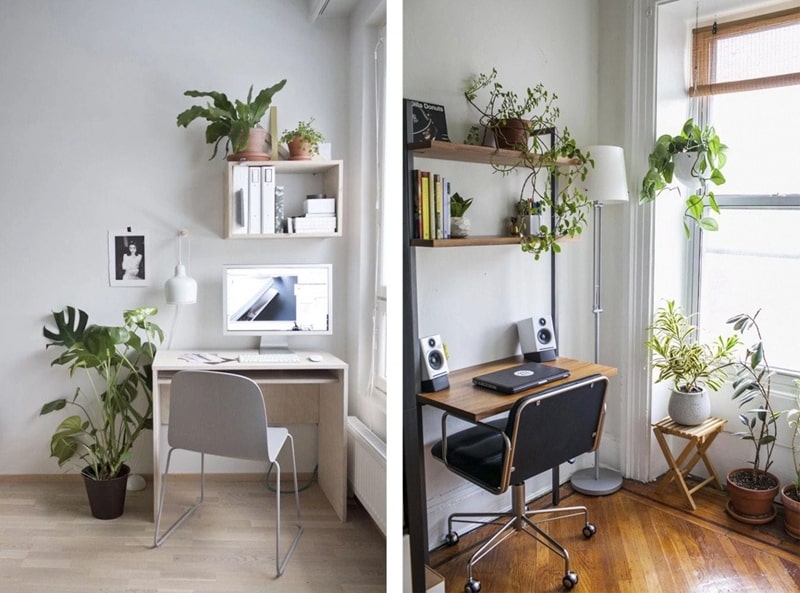 decor phòng trò với cây xanh