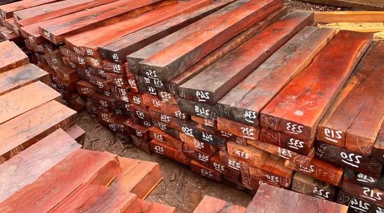 gỗ không bị mối mọt