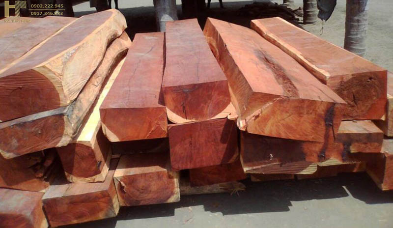 gỗ không bị mối mọt