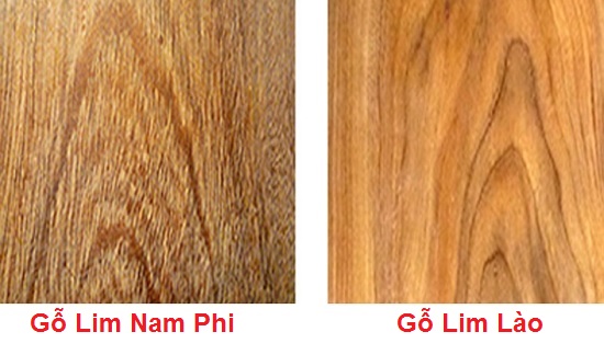 gỗ cây xà cừ có tốt không