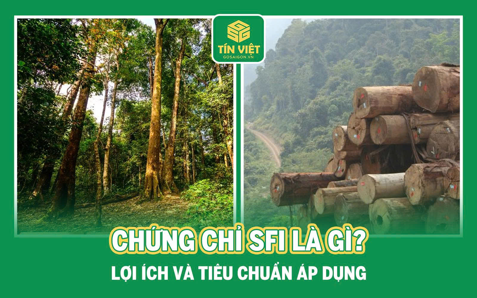 Chứng Chỉ SFI Là Gì? Lợi Ích Và Tiêu Chuẩn Áp Dụng