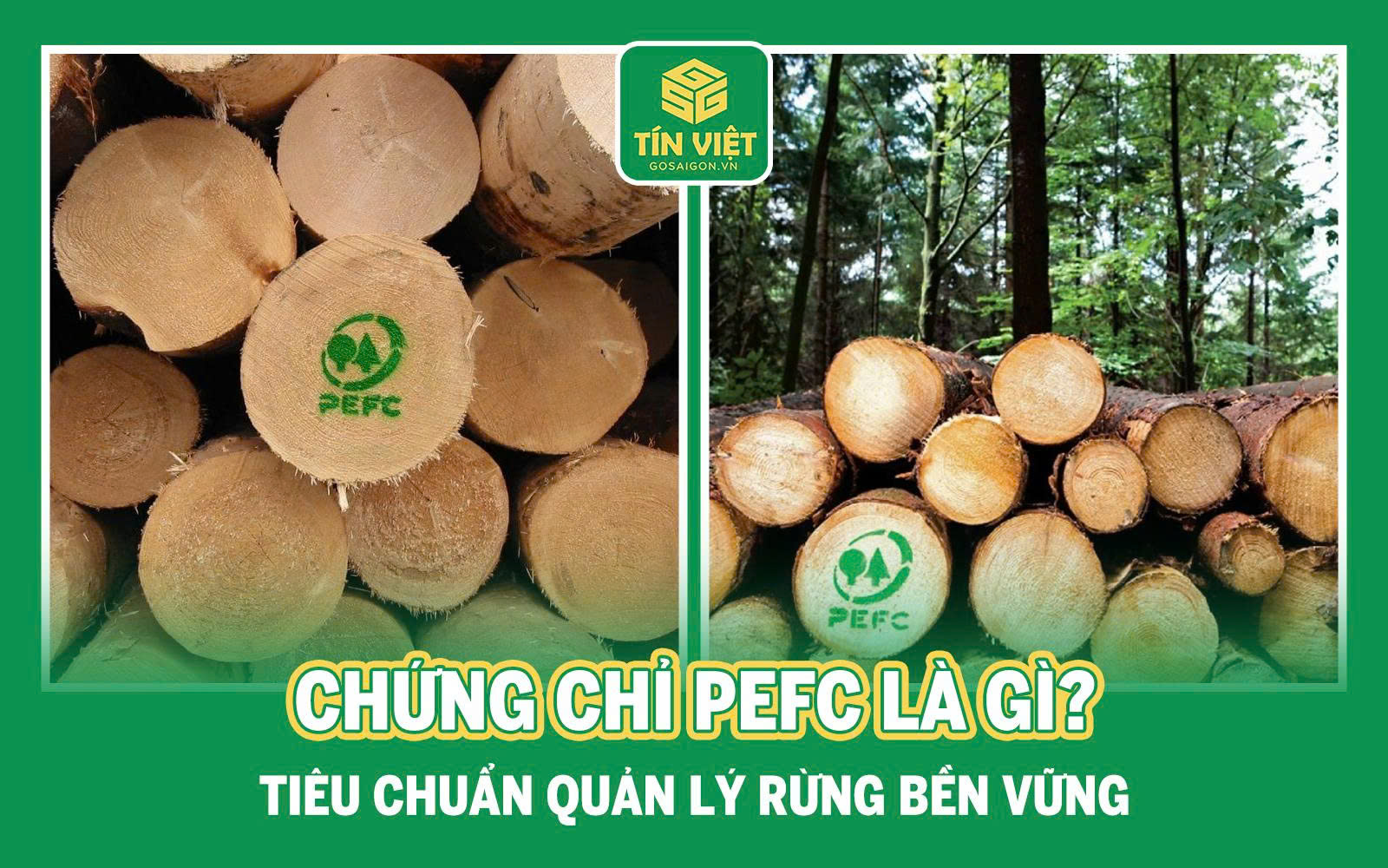 Chứng Chỉ PEFC Là Gì? Tiêu Chuẩn Quản Lý Rừng Bền Vững