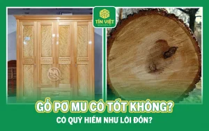 Gỗ Pơ Mu Có Tốt Không? Có Quý Hiếm Như Lời Đồn?