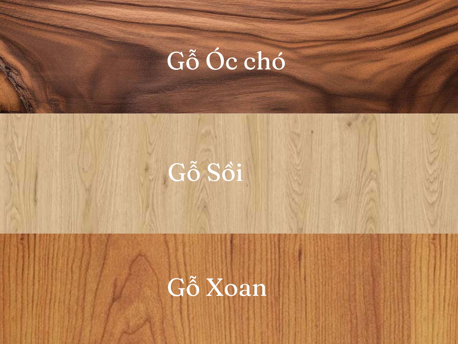 Veneer Tự Nhiên Là Gì?