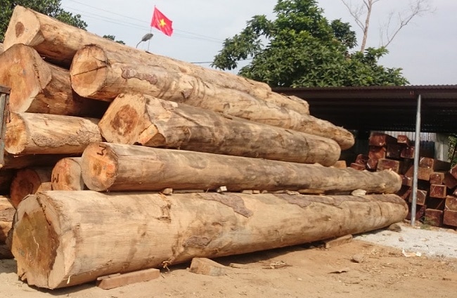 Giá Gỗ Bạch Tùng Tại Việt Nam