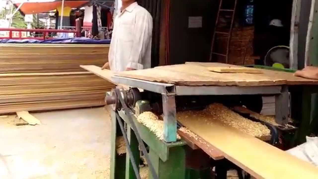 Gỗ Bạch Tùng Có Phù Hợp Để Làm Nhà Yến?