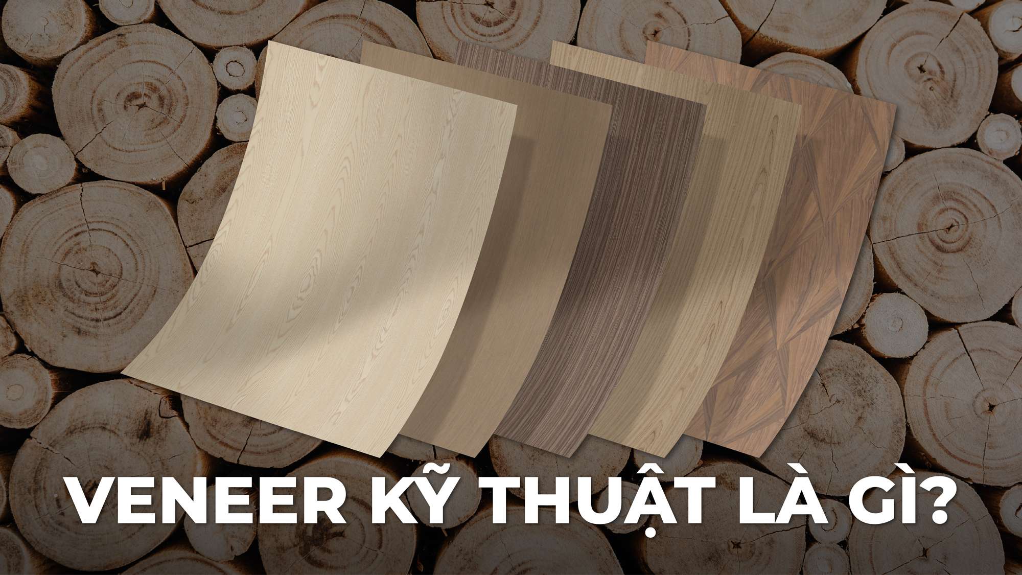 Veneer Kỹ Thuật Là Gì?