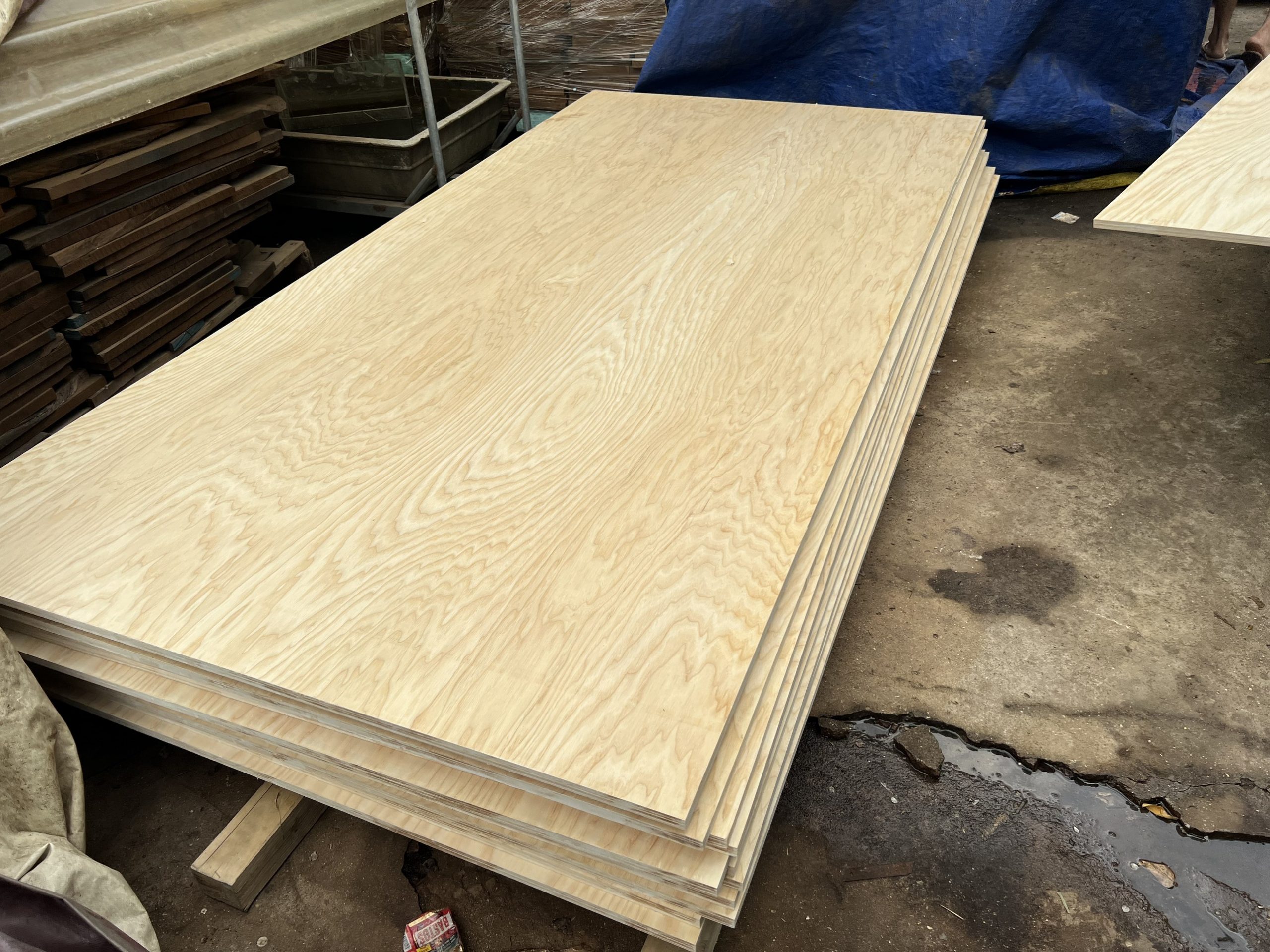 Cách phân loại ván ép Plywood