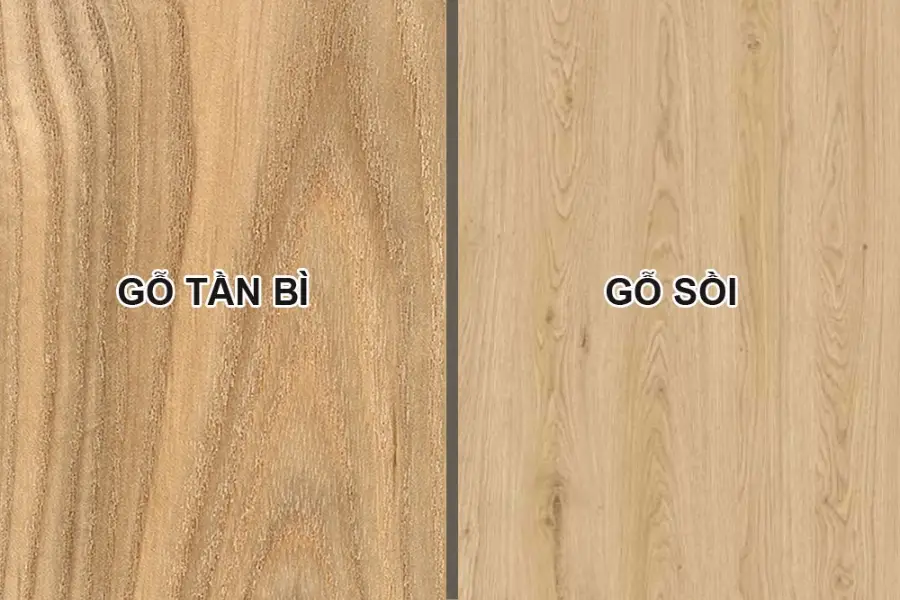 Gỗ tần bì vs gỗ sồi