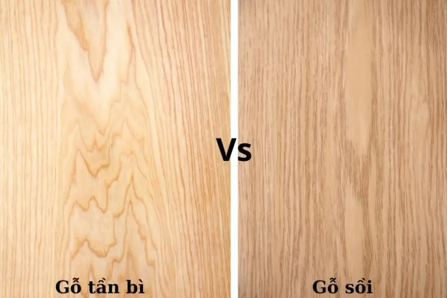 Phân biệt màu sác gỗ tần bì vs gỗ sồi