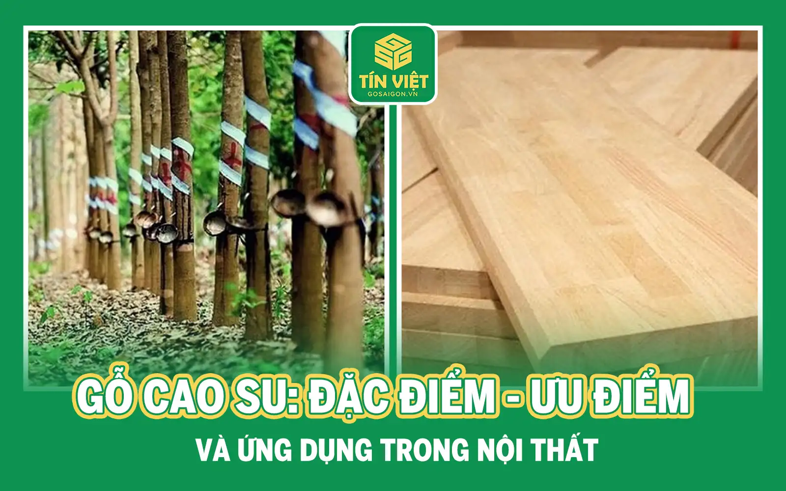 Gỗ Cao Su Có Tốt Không? Có Nên Dùng Cho Nội Thất?