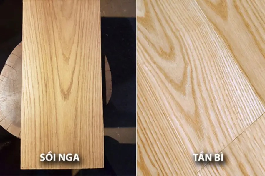 so sánh giá gỗ tần bì và gỗ sồi