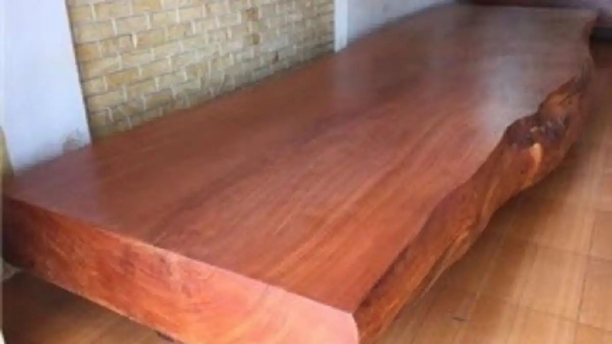 Bảng giá gỗ gụ mật mới nhất 2026