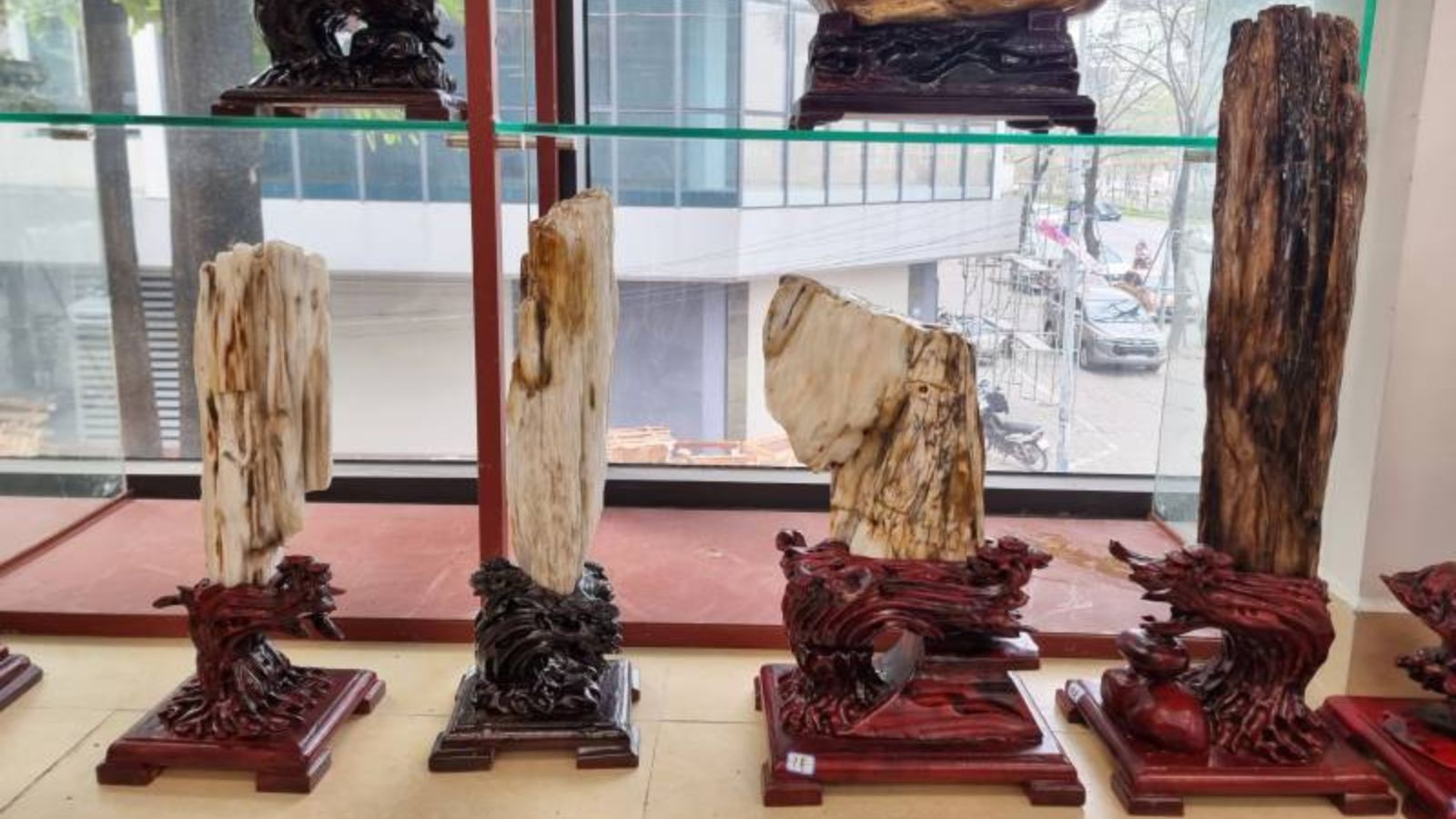 Gỗ hóa đá trong trang trí nhà ở