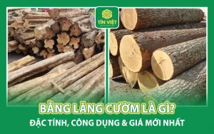 Bằng Lăng Cườm Là Gì?