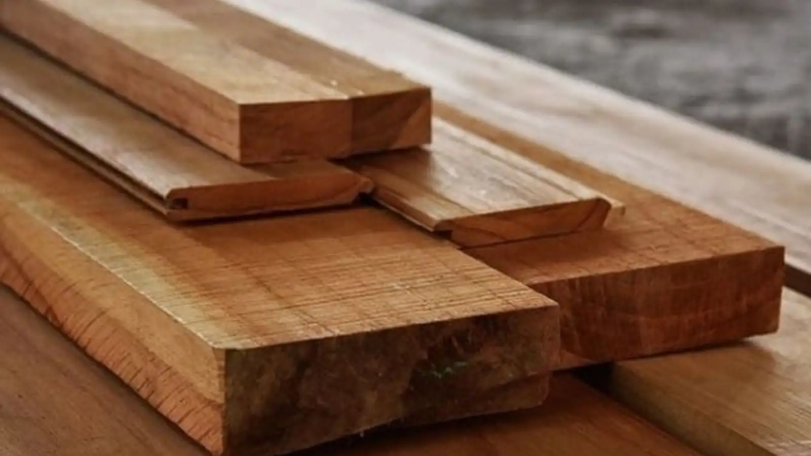  Bằng lăng cườm không phải gỗ quý hiếm, nhưng là lựa chọn rất đáng cân nhắc trong phân khúc gỗ tự nhiên tầm trung