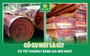 Gỗ gụ mật là gì? Có tốt không? Bảng giá mới nhất