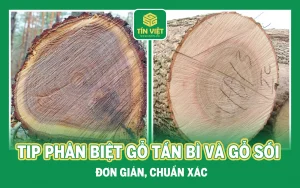 Tip Phân Biệt Gỗ Tần Bì Và Gỗ Sồi Đơn Giản, Chuẩn Xác