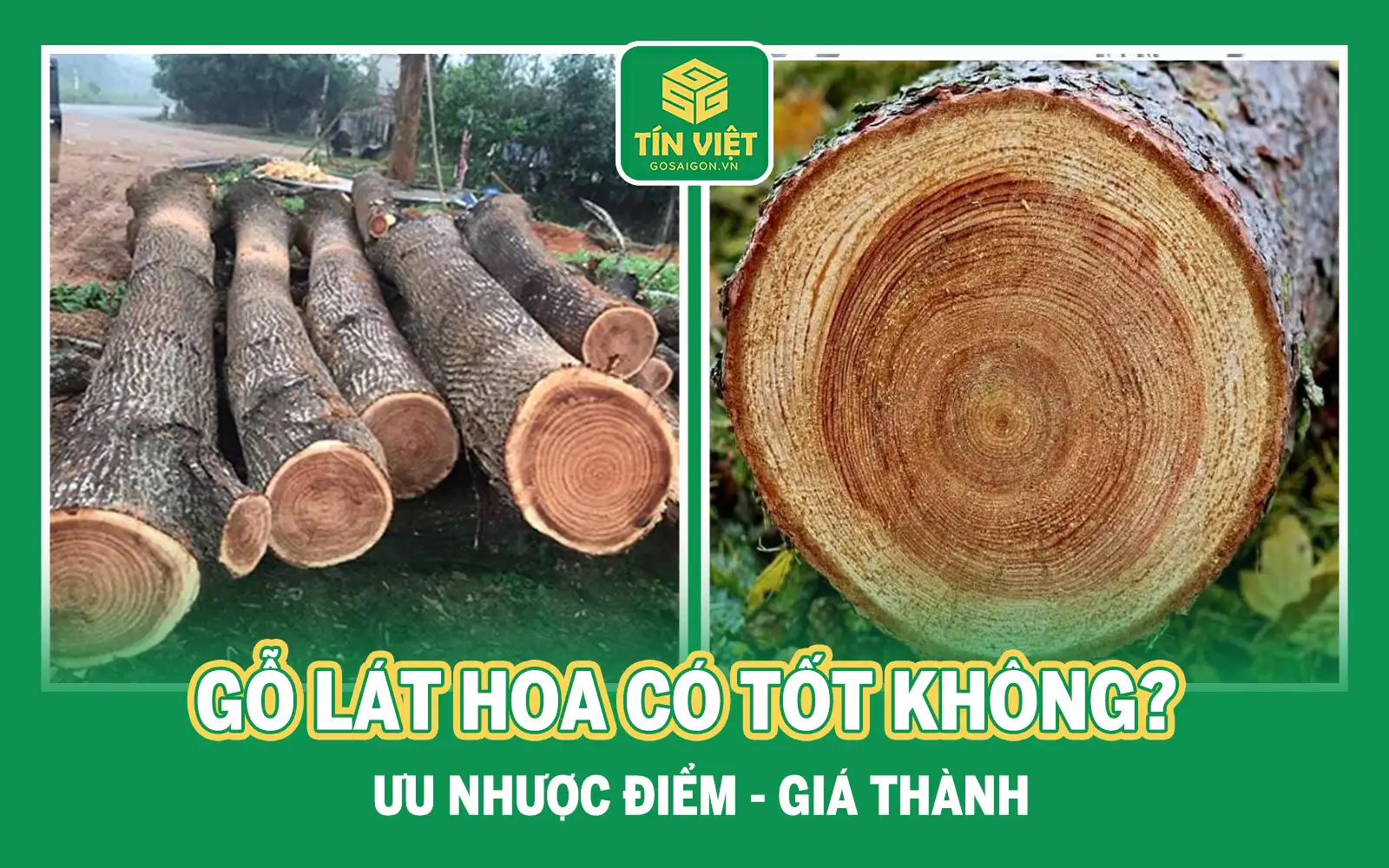 Gỗ Lát Hoa Có Tốt Không? Ưu Nhược Điểm - Giá Thành