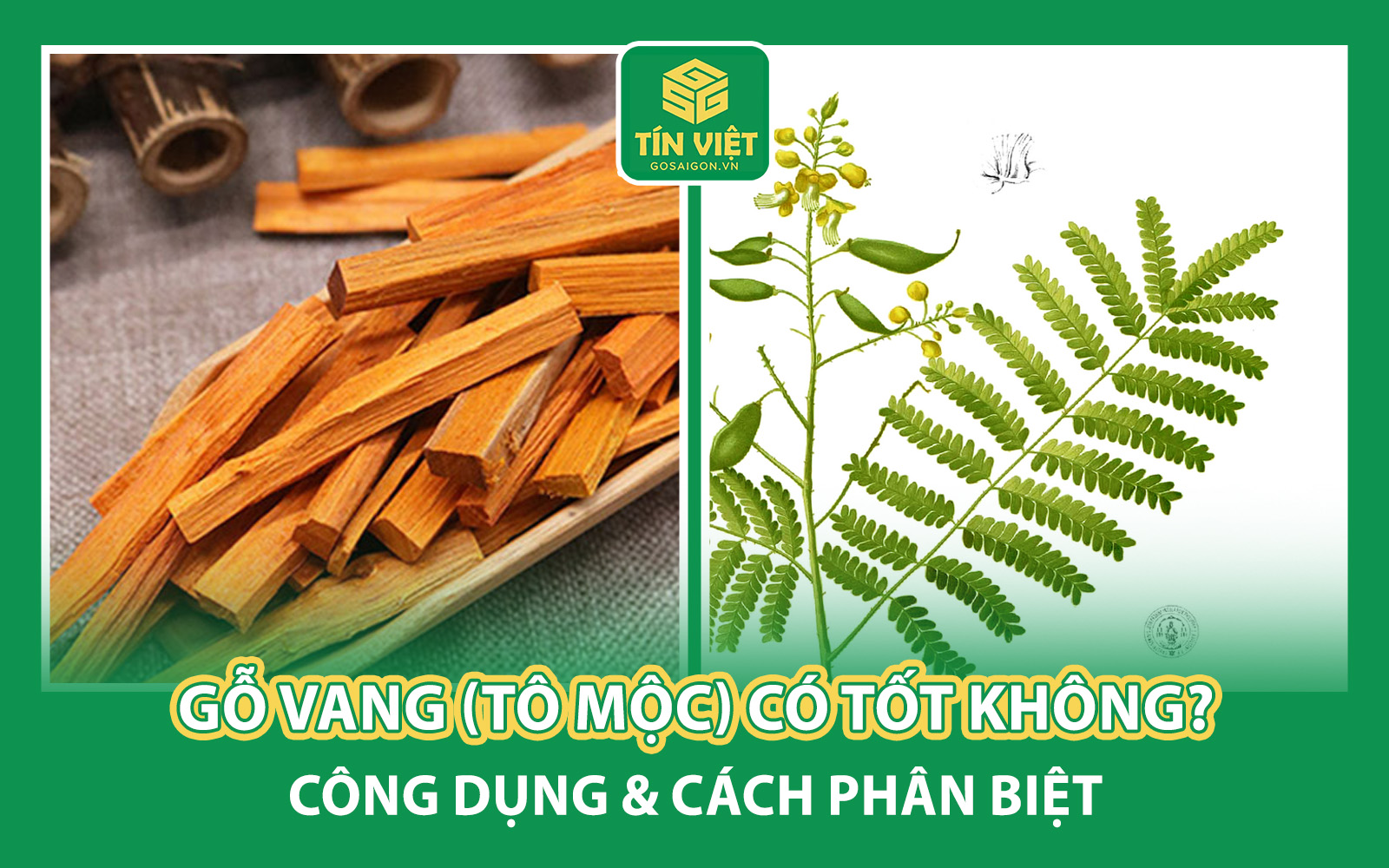 Gỗ Vang (Tô Mộc) Có Tốt Không?