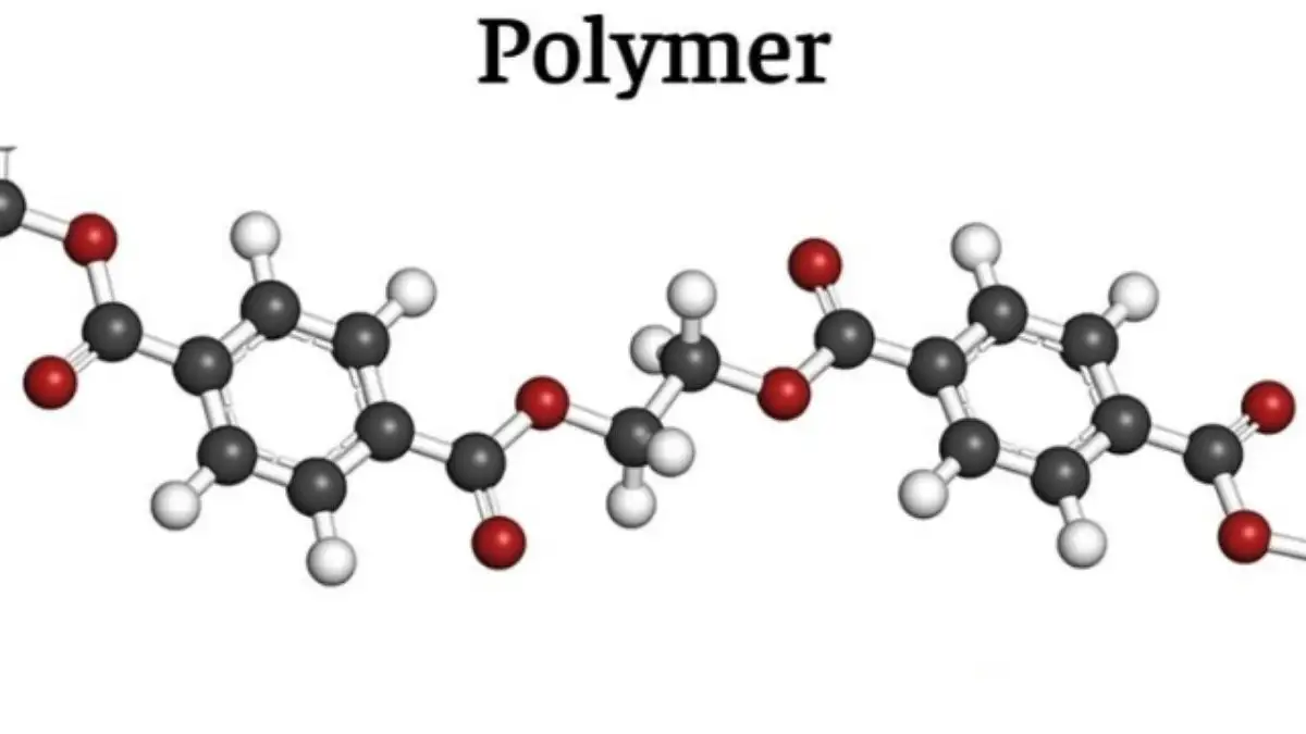 Polymer Là Gì?