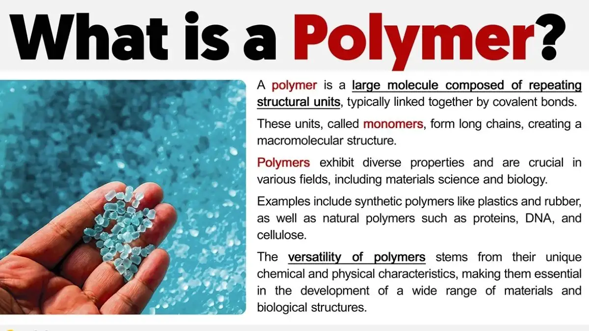 Cấu Trúc Polymer Gồm Những Gì?