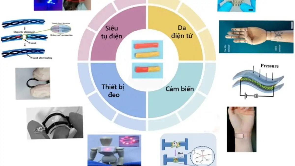Ứng Dụng Của Polymer Trong Đời Sống Và Công Nghiệp