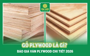 Gỗ Plywood là gì? Báo giá ván Plywood chi tiết 2026