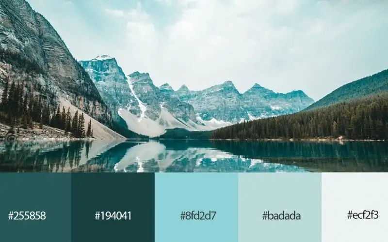 Tông màu lạnh trong thiết kế đồ họa