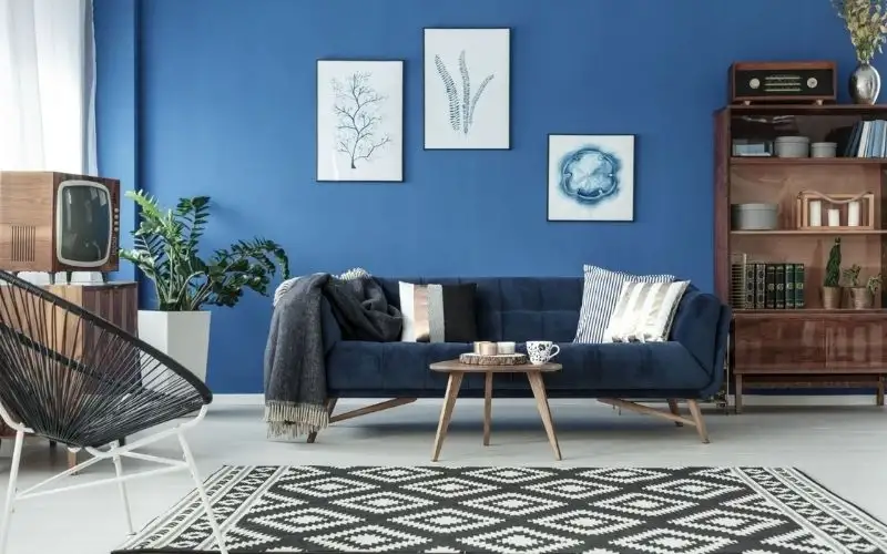 Không sử dụng quá nhiều tông màu lạnh