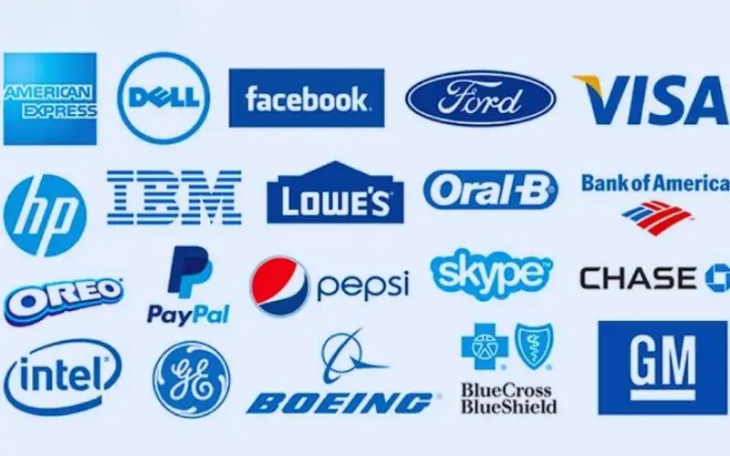 Tông màu lạnh trong branding 