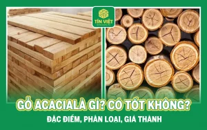 Gỗ Acacia
