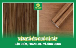 Vân Gỗ Óc Chó Là Gì? Đặc Điểm, Phân Loại Và Ứng Dụng