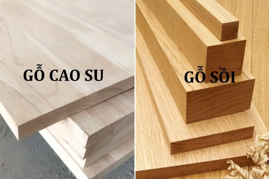 Gỗ cao su và gỗ sồi gỗ nào tốt
