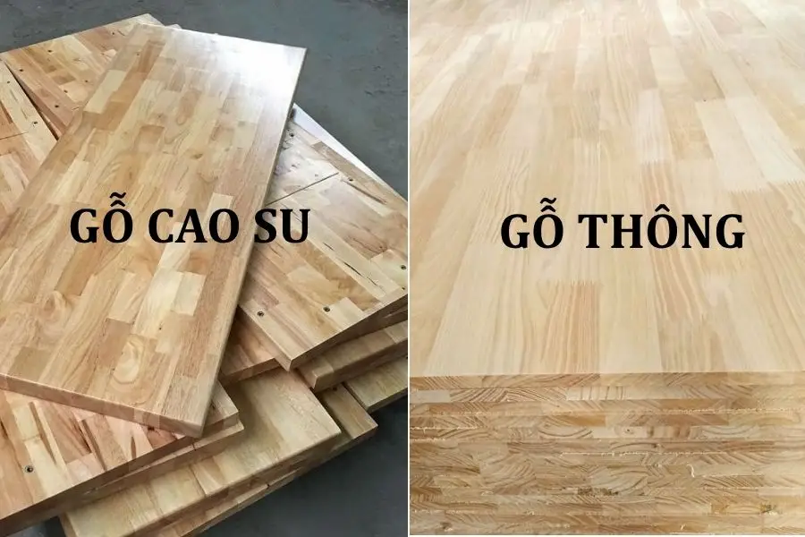 SO SÁNH GỖ CAO SU VỚI GỖ THÔNG 