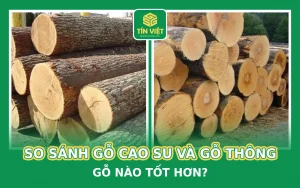 So Sánh Gỗ Cao Su Và Gỗ Thông_ Gỗ Nào Tốt Hơn_