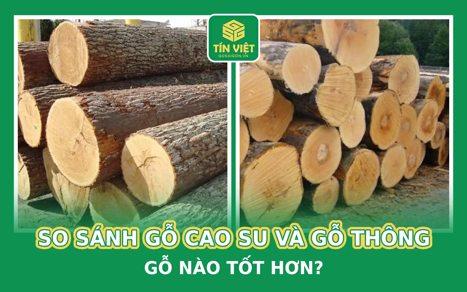 So Sánh Gỗ Cao Su Và Gỗ Thông_ Gỗ Nào Tốt Hơn_