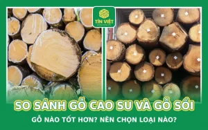 So sánh gỗ cao su và gỗ sồi
