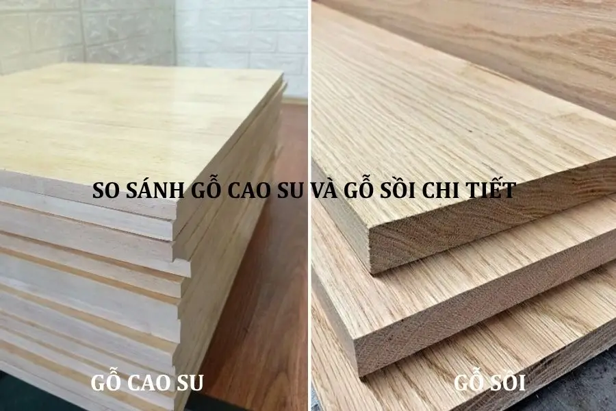 So sánh gỗ cao su và gỗ sồi chi tiết
