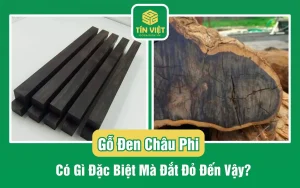 Gỗ Đen Châu Phi Có Gì Đặc Biệt Mà Đắt Đỏ Đến Vậy?