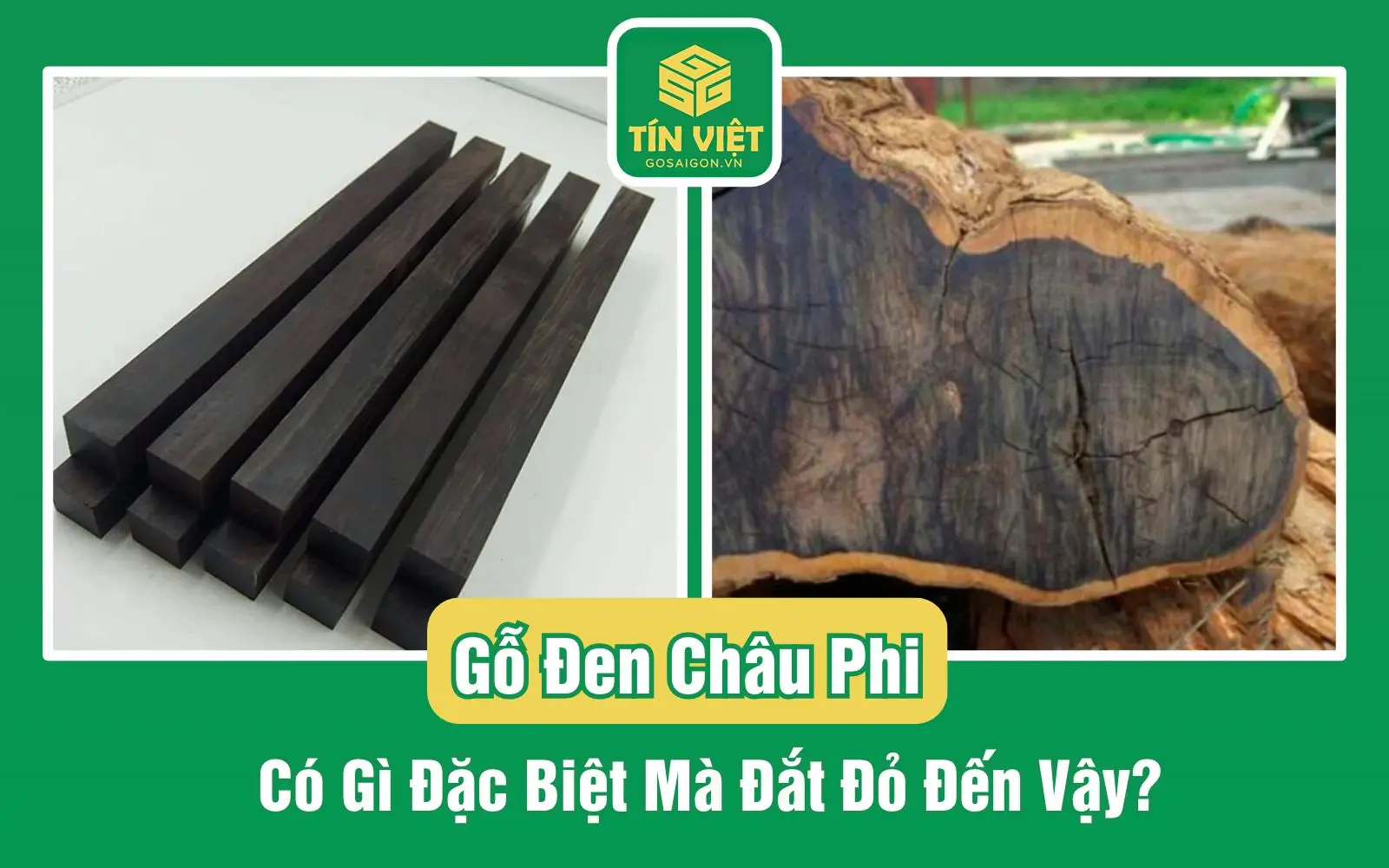 Gỗ Đen Châu Phi Có Gì Đặc Biệt Mà Đắt Đỏ Đến Vậy?