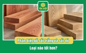 Phân biệt gỗ sồi trắng và sồi đỏ: Loại nào tốt hơn?